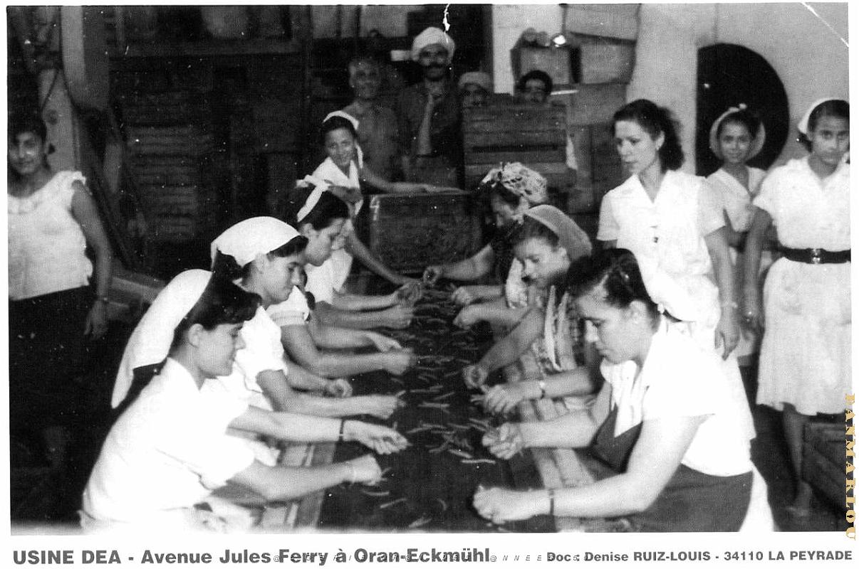 Oran - Eckmulh - Avenue Jules Ferry - Usine Conserves Dea.jpg